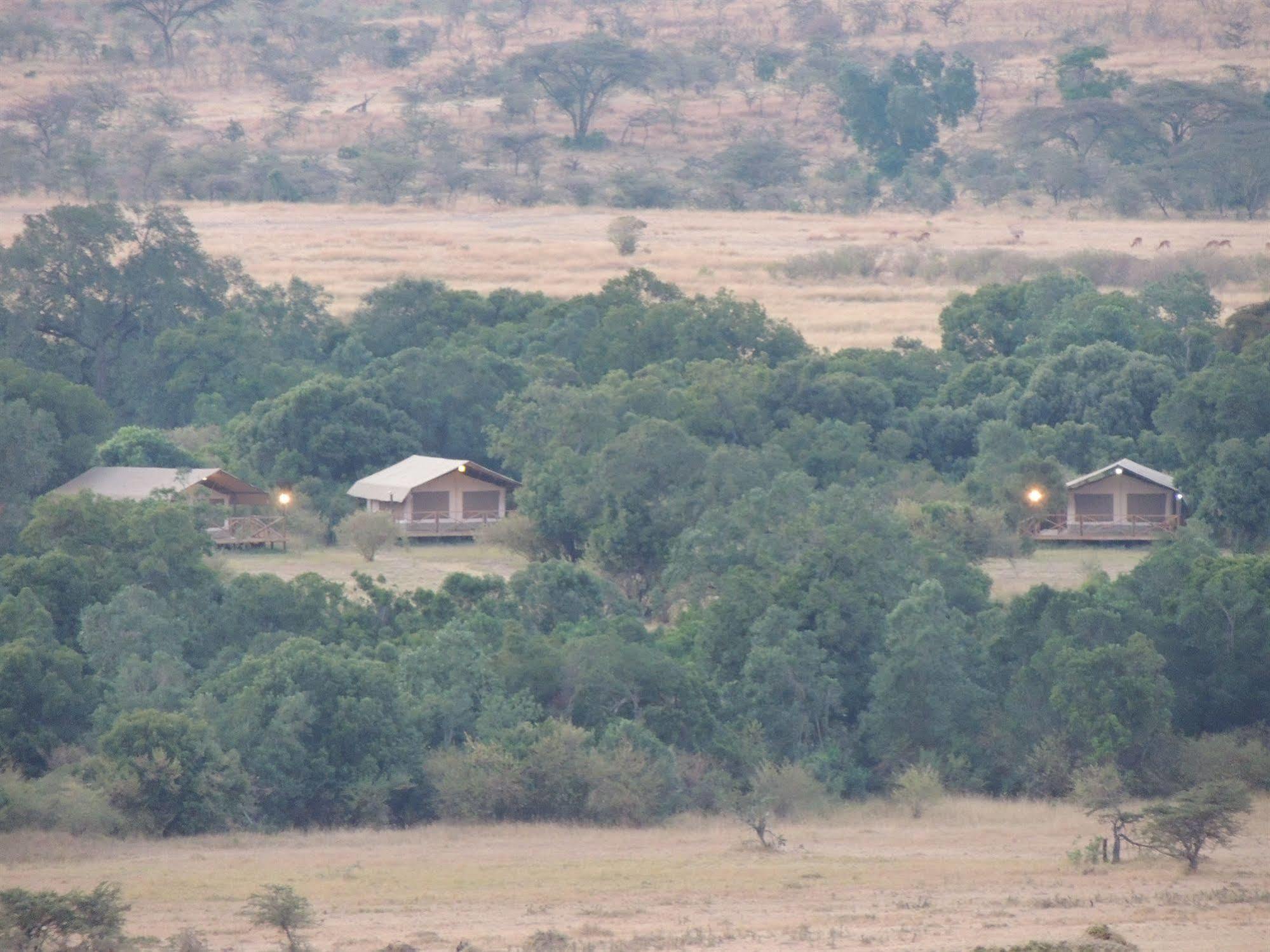 فندق Loyk Mara Camp تاليك المظهر الخارجي الصورة